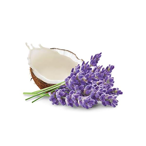 Dove Whipped Lavender and Coconut Milk Body Cream 10 oz