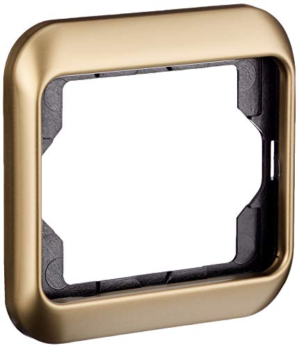 Busch-Jaeger 1721-21 Blindabdeckung Goldfarben