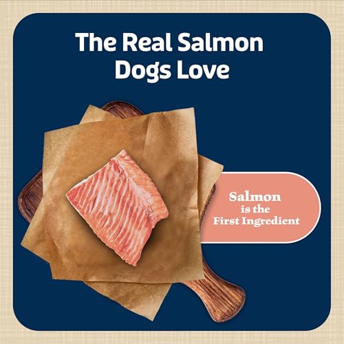 Blue Buffalo Bits Natural Dog Treats, Salmon, 4oz (Pack of 1) image 1