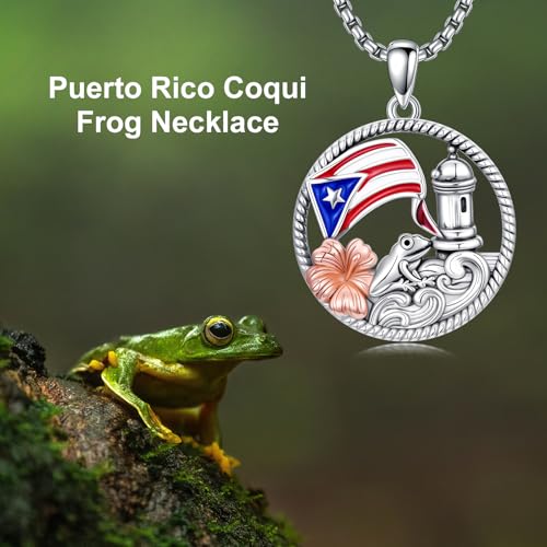 Puerto Rico Necklace 925 Sterling Silver Coqui Frog Flag Pendant Puerto Rico Jewelry Gifts for Women Puerto Ricans4