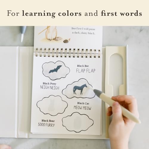 Image of Wishy Washy (Water Reveal Edition): A Reusable Water Reveal Activity Book Teaching First Words and Colors (Tabitha Paige Children's Book Series)