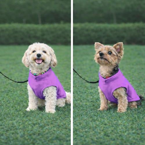 Image of JACKO & CO - Fleece Vest Dog Sweater with Leash Ring - Soft, Warm & Lightweight Pullover Coat for Small & Medium Dogs, Puppies & Cats - Cozy Fall /Winter /Spring Pet Jacket (Purple, X-Large 17-25lbs)