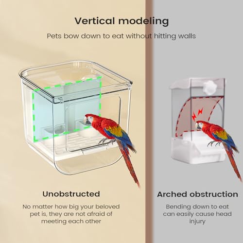 Mangeoire cage oiseau intérieur pour perruche et calopsitte