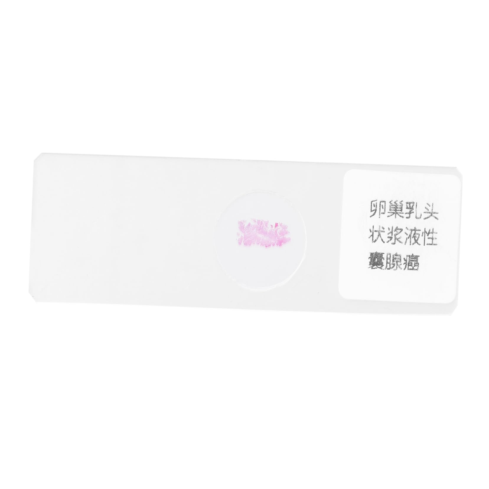 FUNOMOCYA Prepared Glass Slide Cystadenocarcinoma Cells Microscopic Slide Early Education Accessory