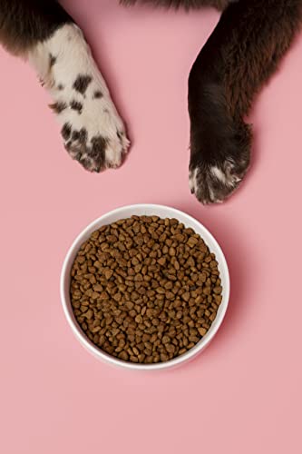 Waggo Ceramic Cling Dog Bowl With Rubber Bottom For Small And Large Breeds - Heavyweight Bowl With Anti-Skid Non Slip Rubber Bottom, Dishwasher Safe (Small, White) #TOP5