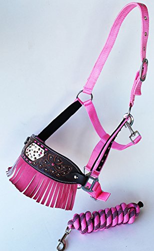 PRORIDER Horse Noseband Tack Bronc Leather Halter Tiedown Lead Rope 280M76202