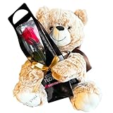 プリザーブドフラワー プリザードフラワー クマさんと一輪の薔薇 レッド プレゼント お祝い 記念日 誕生日 アレンジ フラワーギフト フラワーアレンジメント 枯れないバラ 花 女性 母の日 プレゼント 花 (クマさんピンクローズ)