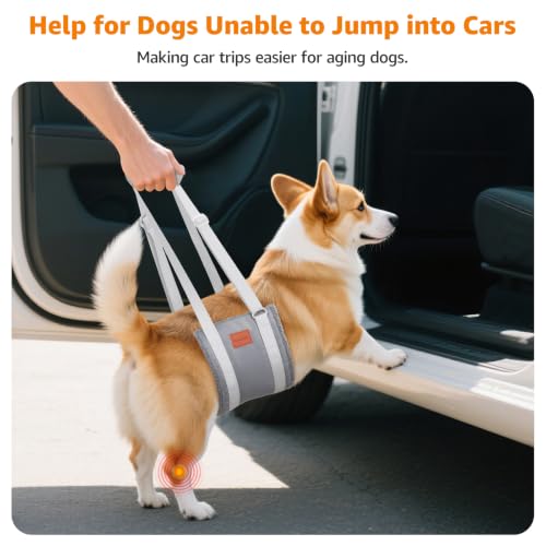 Image of LOOBANI Dog Sling for Medium Dogs Hind Leg Support Cruciate Ligament Rehab