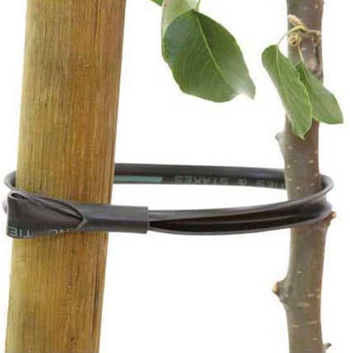 Villa Tree Ties 10 Pack at 32"
