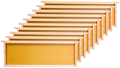 Honey Lake Medium Beehive Frames and Foudations Kit,10 Pack Super Wooden Frames and Beeswax Dipped Plastic...