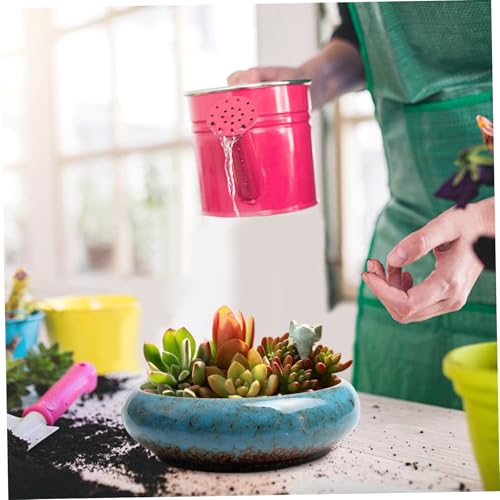 Pot de fleurs bol de lotus bleu céramique pot de bonsaï 19cm