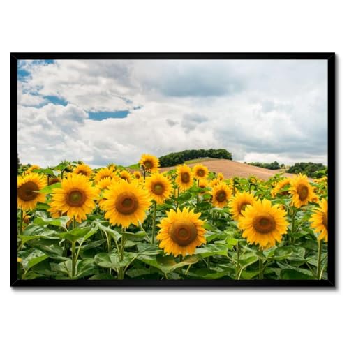 Poster paysage avec tournesols 70 x 50 cm pour illuminer un mur sombre