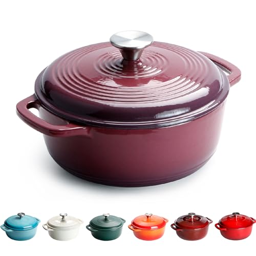 Ollas de Hierro con Tapa, Cazuela de Hierro Fundido, Redonda, 22cm, 3L - Horno Holandés Hierro Fundido Esmaltado(Morado)