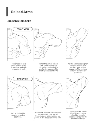 Image of How to Draw Manga: The Male Physique (Manga University Presents ... How to Draw Manga)
