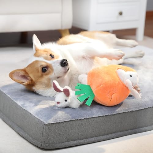 Amazon Basics Quietschendes Hundespielzeug aus Plüsch zum Verstecken Spielen, Hase und Karotte, 5er-Pack, Orange und Weiß