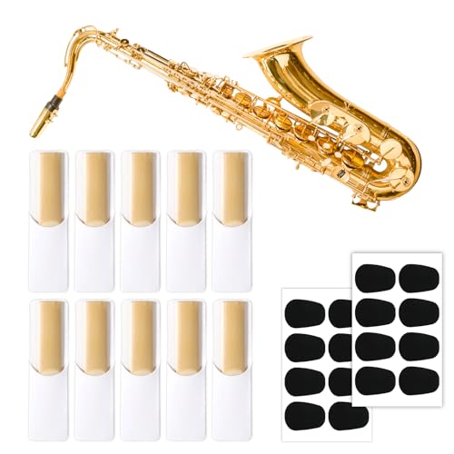 26PCS Alto Saxophone Replacement Kit, 10PCS Alto Saxophone Reeds 2.5, 16PCS Saxophones Mouthpiece Pads for Altos Saxophones Parts and Accessories