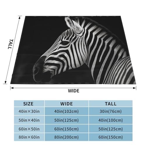 Couverture et jetés zébrés haut de gamme en microfibre de flanelle - 4