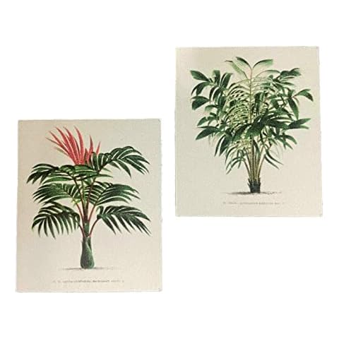 Melody Jane Dolls House Miniature Palm Tree Painting Cover