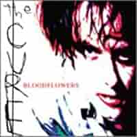 The Cure Bloodflowers - Underground Record Shop CD