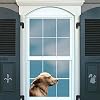 Riders Golden Retriever Car Sticker Window Decal for Vehicles Dog Window Cling(for Right Side)