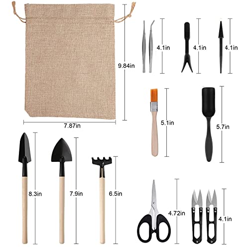 RoseFlower12 Pcs Mini Gardening Tools Set, Plants Care Tools Kit, Bonsai Mini Hand Transplanting Succulent Tools, Indoor Terrarium Tool Accessories, Garden Plant Care Tool Kit, Gardening Accessories