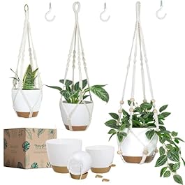 Hanging Planters with...