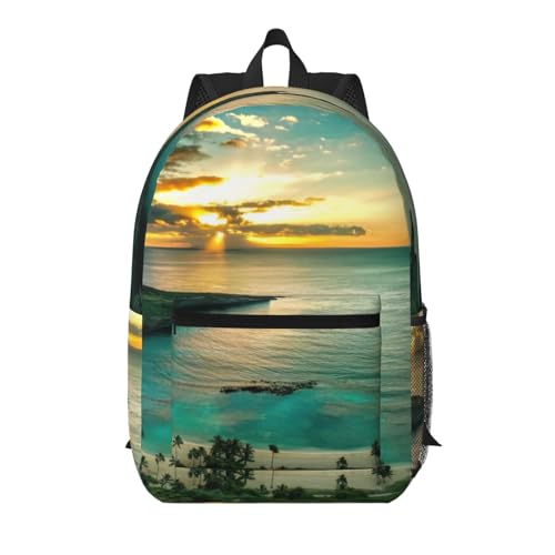 Sac à dos Hanauma Bay Oahu Noir 43cm avec poche pour voyage