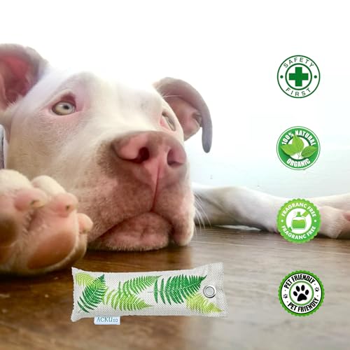 Inserções de sapato de carvão natural (pacote com 12) - Inserções de absorção de umidade e eliminaçã