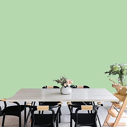 Image of JAAMSO ROYALS Mint Green Plain matt Wallpaper - Self Adhesive, Water Proof, Peel and Stick Sticker (60 CMx 100 CM, Mint Green)
