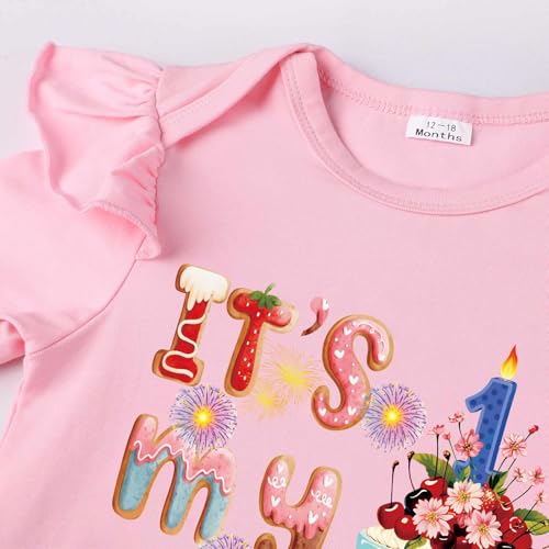 Baby Girls 1st Birthday Bodysuit - My First Birthday OnePiece for One Year Old Infant Girl3