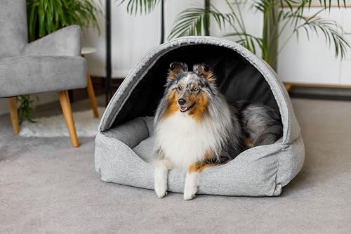 Bjird Hundebett & Hundehütte in einem - Hundehaus mit Dach für kleine und mittelgroße Hunde - Hundehöhle - Hundebox - Hundesofa - Bezug abnehmbar & waschbar - stabiles Hundekorb - 60x 47 cm