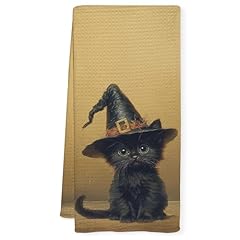 Wizard Cat