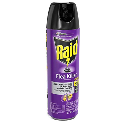 Raid Flea Killer, Kills Fleas, Crickets, Roaches, Silverfish and Ticks