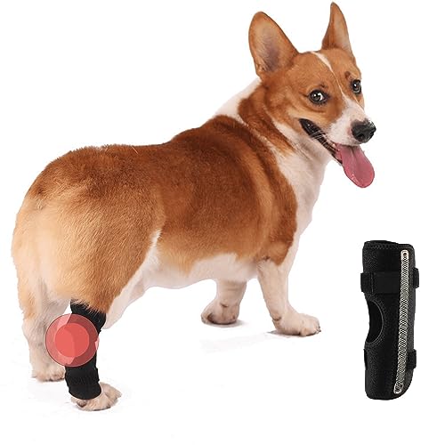 Image of Anosiar Dog Rear Leg Hock Brace, Pair of Canine Dog Leg Joint Wraps Compression Brace Protects Wounds, Heals and Prevents Injuries and Sprains Helps with Loss of Stability Caused by Arthritis (XL)