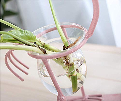 Molinter Vaas hydrocultuur bloempot hydrocultuur glazen flessen bloemenvaas met flamingo plank voor kantoor Home Decor (stijl 1) - Afbeelding 4