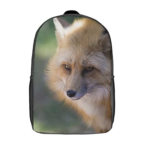 Sac à dos d'impression de cartable Fox Fashion relief 3D grand format mixte