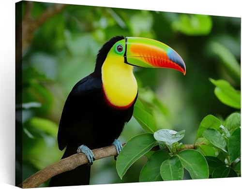 Art moderne oiseau botanique tropical pour creer une ambiance nature au bureau