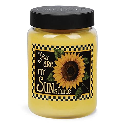 Crossroads Lc-Ds387 You Are My Sunshine Lemon Cookie Jar Candle, 26 Oz #TOP16