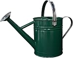 Canette d'arrosage en métal, un Gallon Canettes d'eau en acier inoxydable pour l'extérieur des plantes de jardin intérieur Arrosage (Poignée plate en argent vitré)