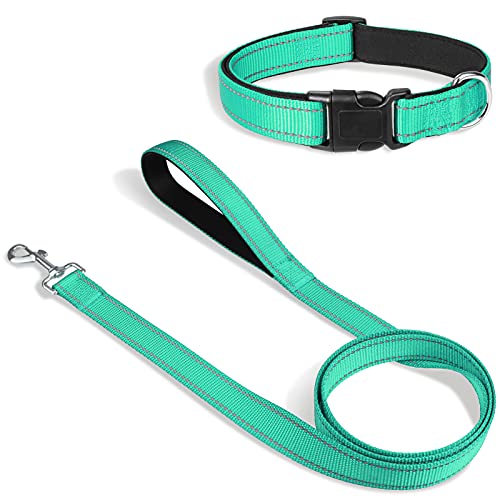 Joytale Dog Collar Bundle with 5FTx3/4 Width Double-Sided Reflective Dog Leash,5FT Nylon Dog Leashes with Nylon Dog Collar for Small Dogs,Teal
