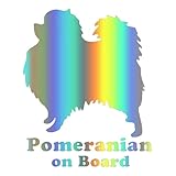 APPLICATION POLYVALENTE : parfaitement adapté aux voitures, ordinateurs portables, réfrigérateurs, fenêtres et autres surfaces lisses