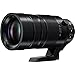 PANASONIC LUMIX G LEICA DG VARIO-ELMAR PROFESSIONAL LENS, 100-400MM, F4.0-6.3 ASPH., MIRRORLESS MICRO FOUR THIRDS, POWER OPTICAL I.S., H-RS100400 (USA BLACK)