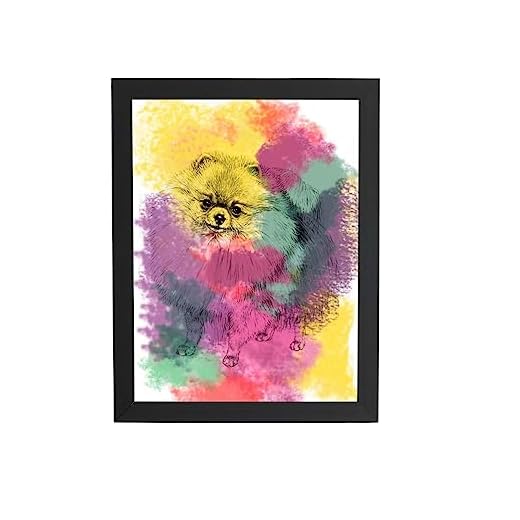 Quadro Cachorro Lulu da Pomerânia Aquarela Moldura 60x40cm