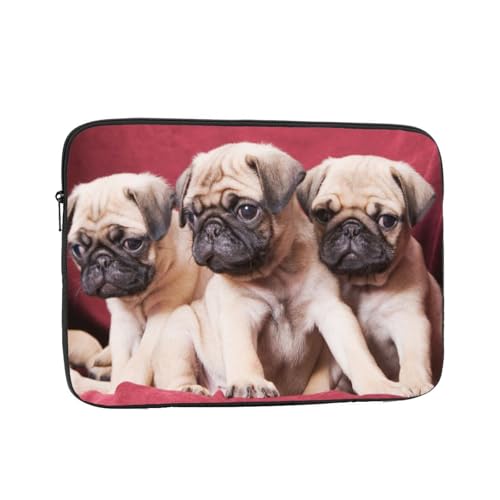 Ή pÕ\t@u 10 Inch p\RP[X X[u m[gp\Rp̃obO ϏՌH  킢 y