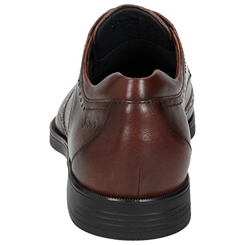 Sioux Homme Forkan plat Oxford noire marron chaussure basse classique