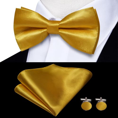 Image of Hi-Tie Men Suspender Bowtie Set Suspenders Pre-tied Bow Tie Pocket Square Cufflinks Adjustable Y Shape 6 Clips Braces Tuxedo