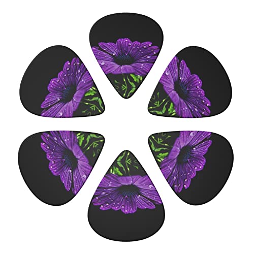 Purple Daisy Lot de 6 médiators pour guitare acoustique, guitare électrique, basse, ukulélé – fins, moyens et épais - Les Beatles, Paul McCartney, John Lennon, RIngo Starr, George Harrison Purple Daisy Lot de 6 médiators pour guitare acoustique, guitare électrique, basse, ukulélé – fins, moyens et épais – Image 5