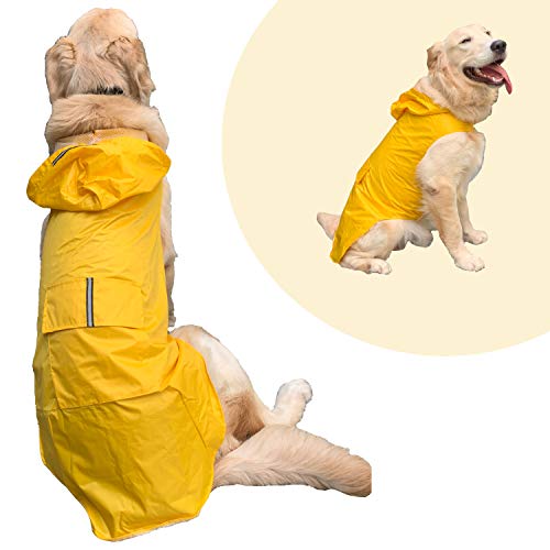 Best 7 Raincoats For French Bulldogs 2024 Dog Fluffy