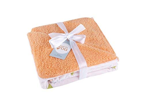 MYWALE Baby Boy Baby Girl Soft Blanket/Fleece Security Blanket/Plush Toddler Baby Newborn Blanket/Receiving Blanket/Infant Unisex Blanket for Nursery/Stroller/Crib (Fox,1pack) MYWALE Baby Boy Baby Girl Soft Blanket/Fleece Security Blanket/Plush Toddler Baby Newborn Blanket/Receiving Blanket/Infant Unisex Blanket for Nursery/Stroller/Crib (Fox,1pack)