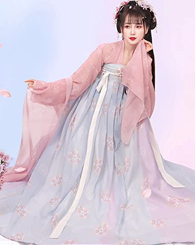Women's Chinese Hanfu Qixiong Ruqun Sheer Top Tube Dress Outfit Tang Dynasty Traditional Costume